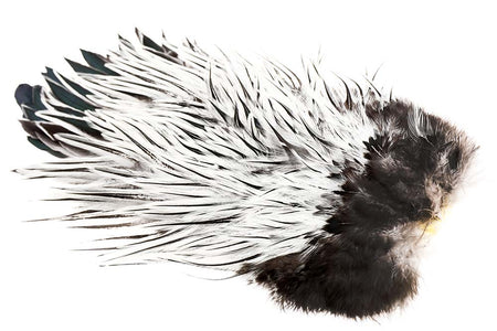 You added <b><u>Whiting American Rooster Saddle - Silver Badger</u></b> to basket.