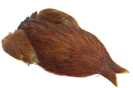 You added <b><u>4B Whiting Rooster Cape - Brown</u></b> to basket.