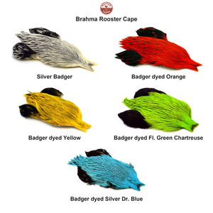 You added <b><u>Whiting Brahma Rooster Cape</u></b> to basket.