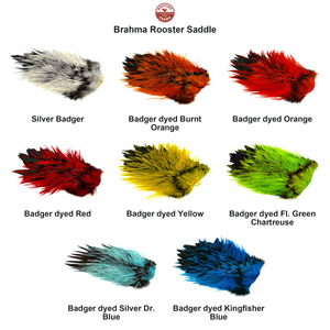 You added <b><u>Whiting Brahma Rooster Saddle</u></b> to basket.