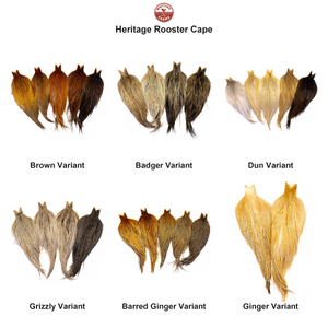 You added <b><u>Whiting Heritage Rooster Cape</u></b> to basket.