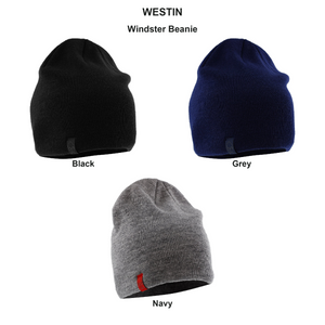 You added <b><u>Windster Beanie</u></b> to basket.