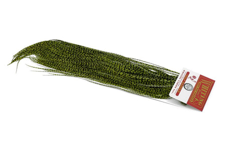 You added <b><u>(Bronze Grade) 1/2 Whiting Red Label Saddle - Grizzly Olive</u></b> to basket.
