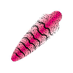You added <b><u>Pro Woe Shrimp shells</u></b> to basket.