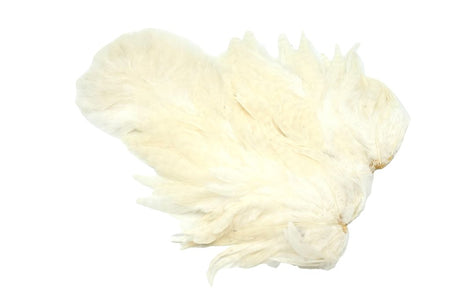 You added <b><u>Whiting Rooster Softhackle W Chickabou SH/C White</u></b> to basket.