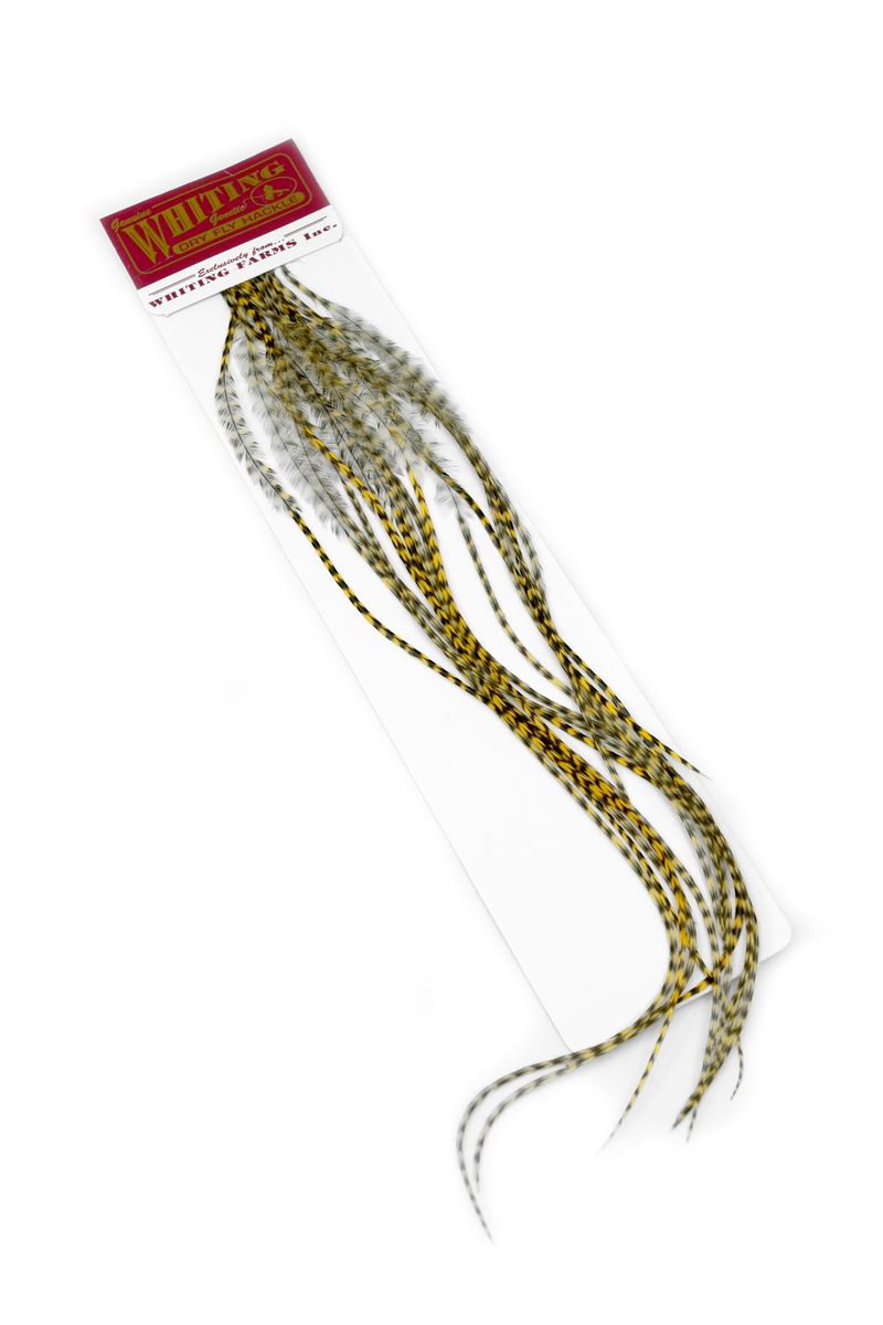 Whiting 100-pk – Size 12 â€“ dealerweb-cms-32081250-c28e-4fff-9290-837010ccec5a.jpg
