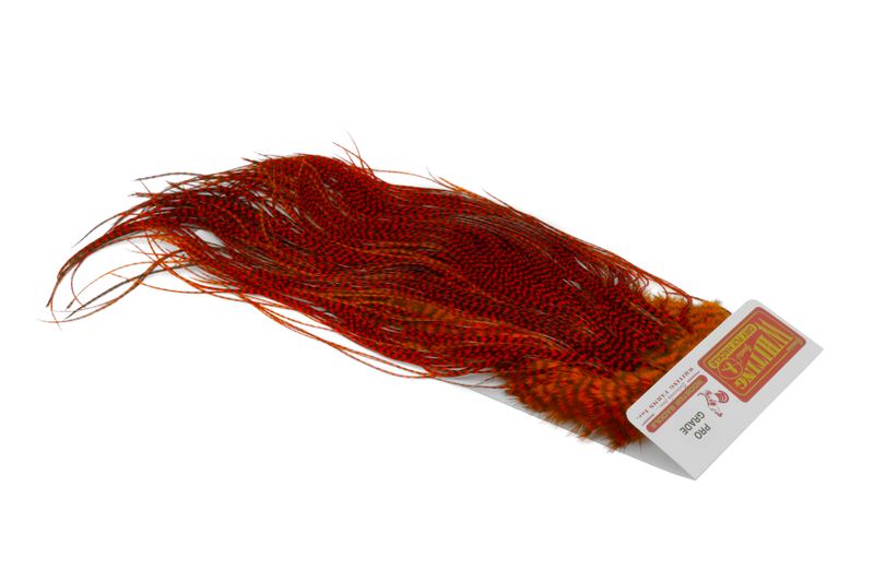 Whiting Rooster Saddle – Pro Grade â€“ dealerweb-cms-4a693e6d-ef89-4100-b27d-0b54c349f66c.jpg