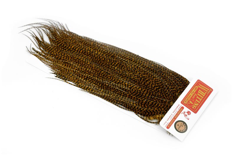 Whiting Rooster Saddle – Bronze â€“ dealerweb-cms-626b3e42-0c3e-400d-8c26-b628eea08611.jpg