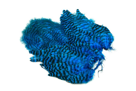You added <b><u>Whiting Rooster Softhackle W Chickabou SH/C Grizzly Kingfisher Blue</u></b> to basket.