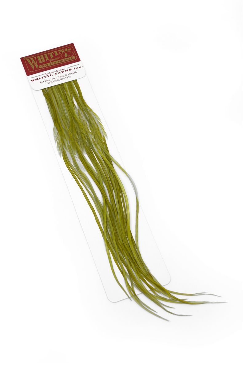 Whiting 100-pk – Size 12 â€“ dealerweb-cms-871ddf18-32b2-4cb5-ac25-b42e1372ae22.jpg