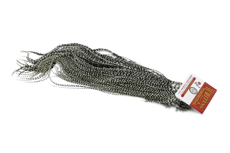 Whiting Silver 1/2 Saddle â€“ dealerweb-cms-a6f7ec52-1ec0-48f6-8ff0-6ef4c8c2035c.jpg