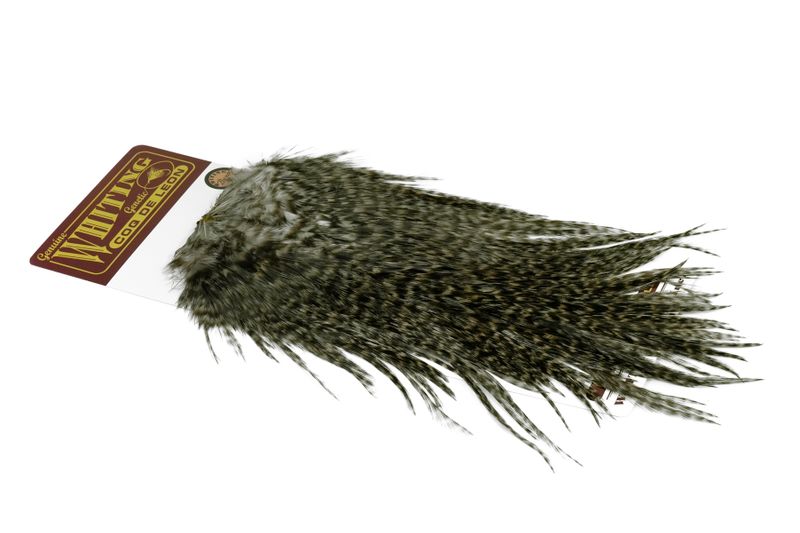 Whiting Coq de Leon Rooster Saddle – Bronze â€“ dealerweb-cms-c65da092-2b85-432a-a331-61c4e226d1ca.jpg