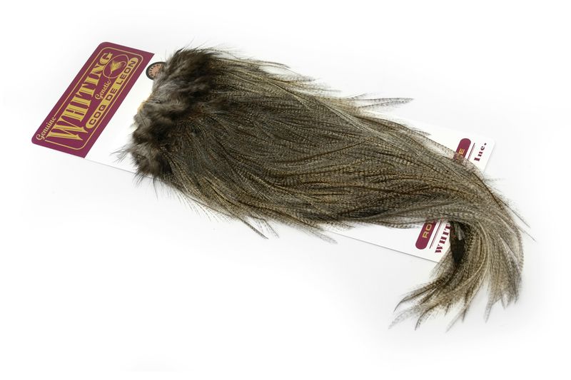 Whiting Coq de Leon Rooster Saddle – Silver â€“ dealerweb-cms-f39ab8bb-2fe3-49ee-9550-aa465ccf9695.jpg