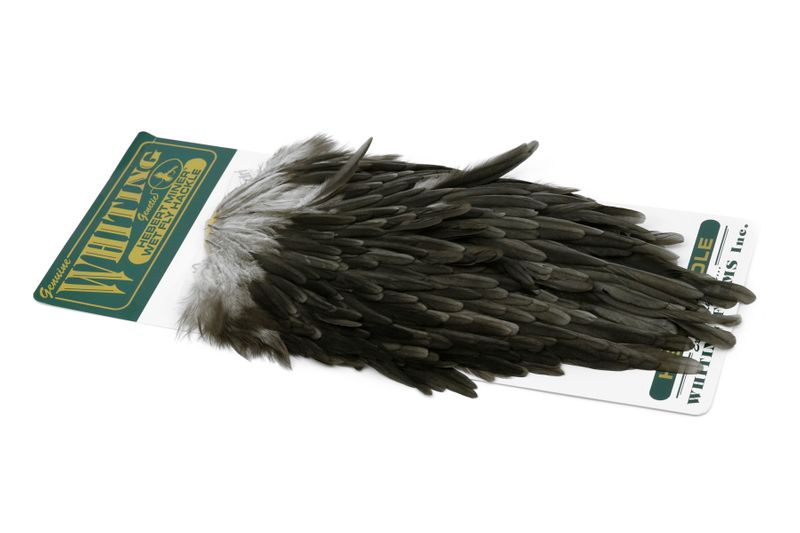 Whiting Hebert Hen Saddle â€“ dealerweb-cms-f78df917-4369-49b9-86b0-01576e1651fc.jpg