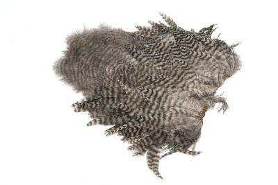 You added <b><u>Whiting Rooster Softhackle W Chickabou SH/C Grizzly dyed With Down</u></b> to basket.