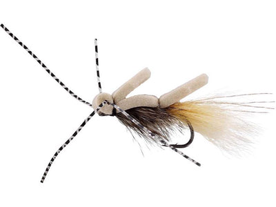 You added <b><u>Foam Skater UV Tan </u></b> to basket.