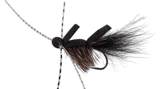 You added <b><u>Foam Skater UV Black </u></b> to basket.