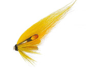 Banana fly