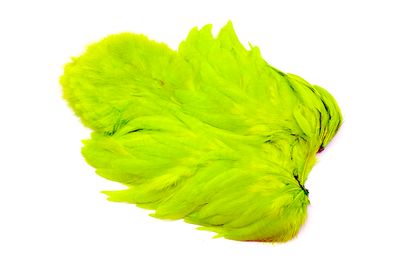You added <b><u>Whiting Rooster Softhackle W Chickabou SH/C White dyed Fl. Green Chartreuse</u></b> to basket.