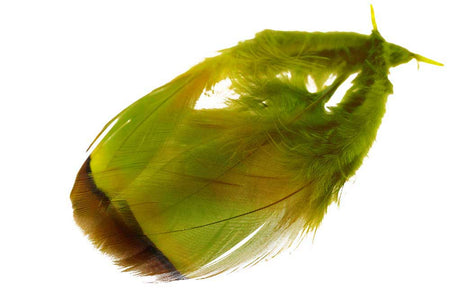 You added <b><u>French Partridge - Olive</u></b> to basket.