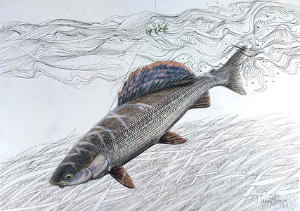 You added <b><u>Thomas Weiergang original A3 - Greyling</u></b> to basket.