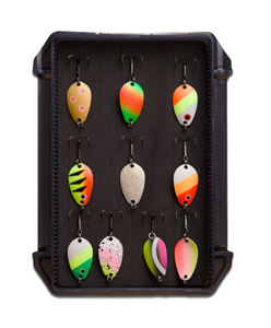 You added <b><u>GOLDEN BLINK assortment - 10 favorites in a box</u></b> to basket.