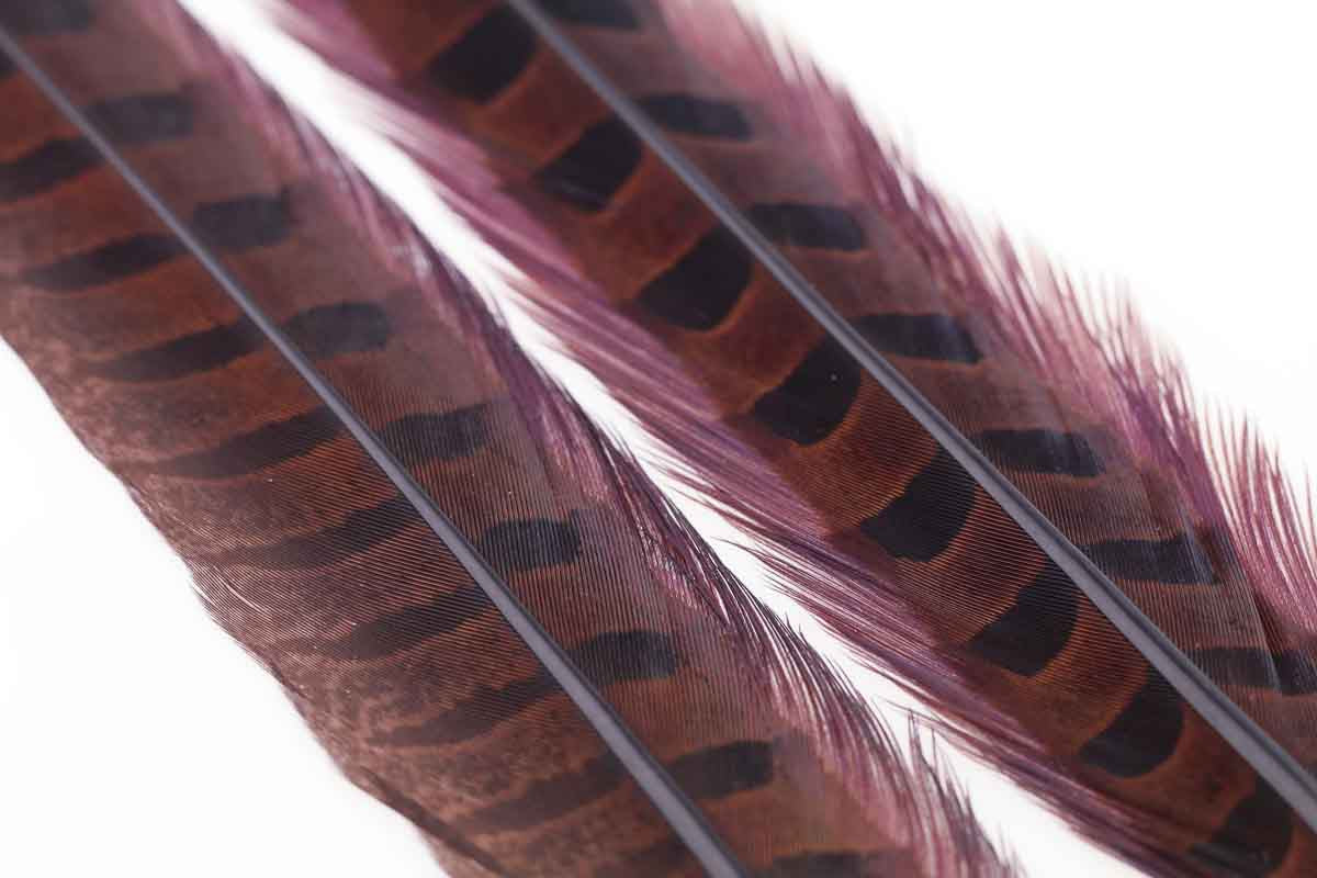 Ringneck Pheasant Tail 1 Pair - Orange