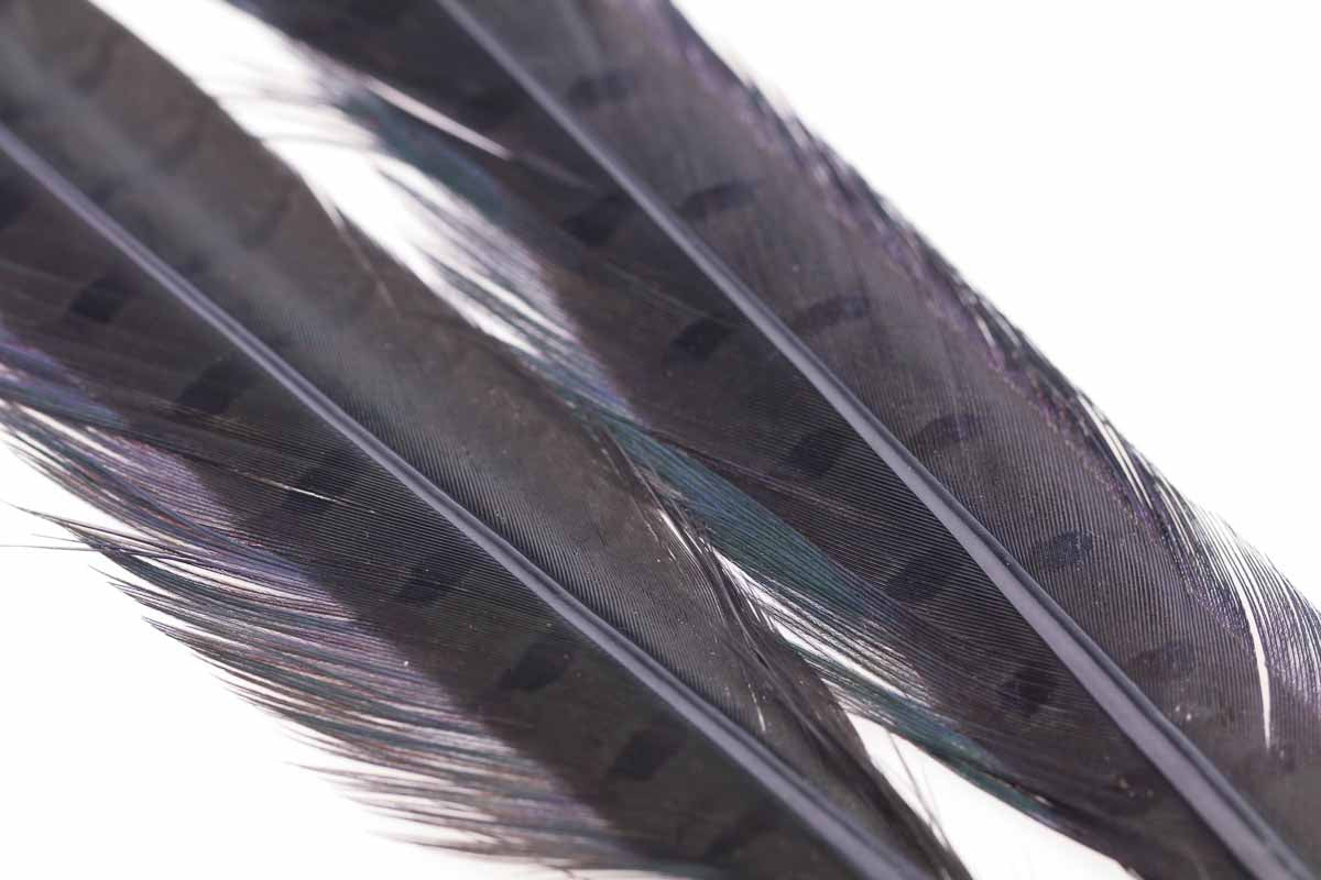 Ringneck Pheasant tail 1 Pair - Dun