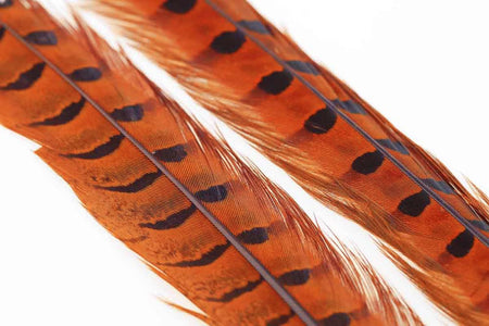 You added <b><u>Ringneck Pheasant Tail 1 Pair - Orange</u></b> to basket.