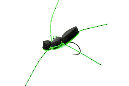 You added <b><u>The Foam Beetle with eye - Chartreuse</u></b> to basket.