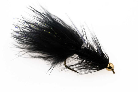 You added <b><u>Dog Nobler Black - Size 8</u></b> to basket.