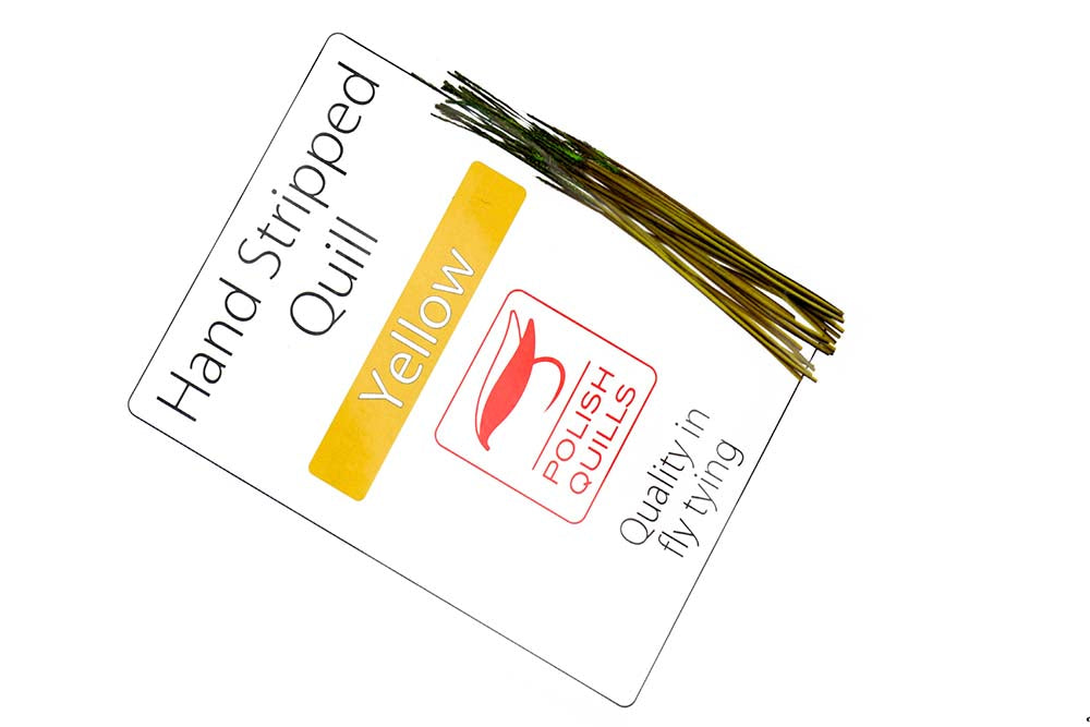 Hand Stripped Peacock Quill - Yellow