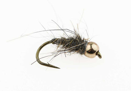 You added <b><u>Hares Ear Goldhead - Neutral</u></b> to basket.