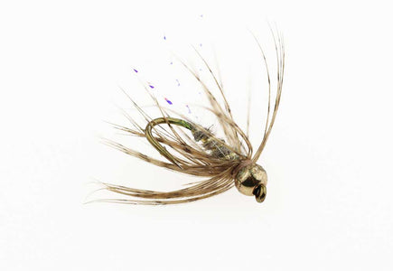 You added <b><u>Greyling Special - 12</u></b> to basket.