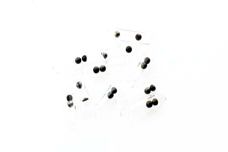 You added <b><u>Airplane Rattles</u></b> to basket.