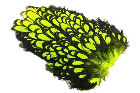 You added <b><u>Whiting American Hen Saddle Black Laced - Fl. Yellow Chartreuse</u></b> to basket.