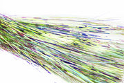 Krinkle Mirror Flash - Olive