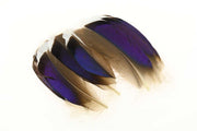 Mallard Blue White Tip Pairs