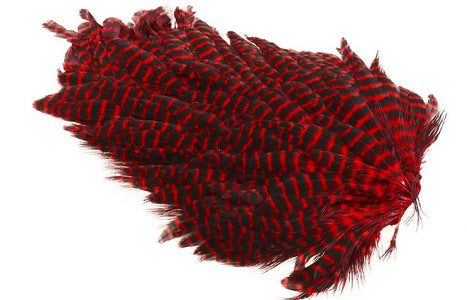 You added <b><u>Ewing #1 Hen Saddle Grizzly Red</u></b> to basket.