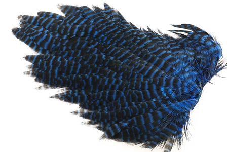 You added <b><u>Ewing #1 Hen Saddle Grizzly Kingfisher</u></b> to basket.