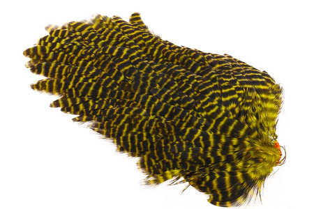 You added <b><u>Ewing #1 Hen Saddle Grizzly Yellow</u></b> to basket.