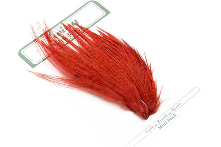 You added <b><u>Ewing 12's & 14's Dry Fly Mini Pack Ginger</u></b> to basket.