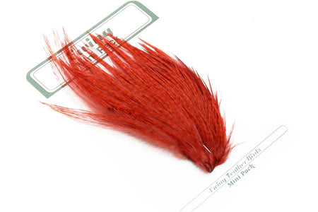 You added <b><u>Ewing 10's & 12's Dry Fly Mini Pack Ginger</u></b> to basket.