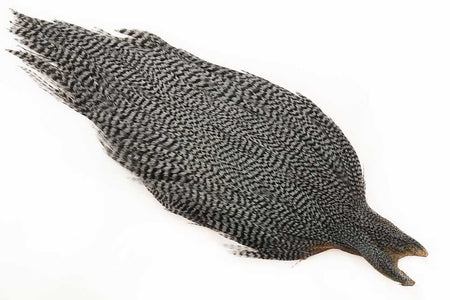 You added <b><u>Ewing #1 Grizzly Cape Med. Blue Down</u></b> to basket.