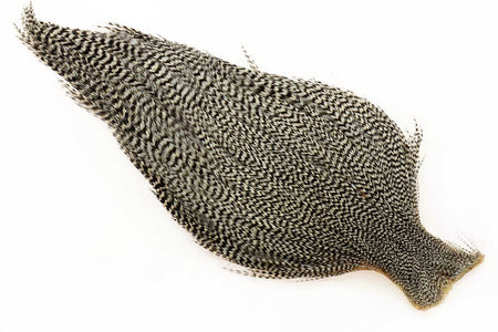 You added <b><u>Ewing #1 Grizzly Cape, Grizzly</u></b> to basket.