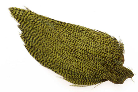 You added <b><u>Ewing #1 Grizzly Cape Olive</u></b> to basket.