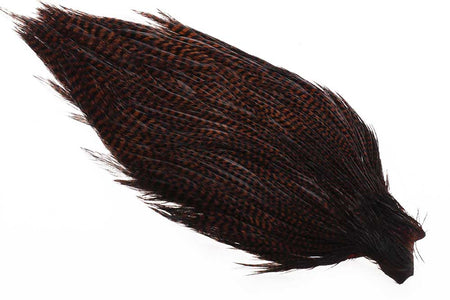 You added <b><u>Ewing #1 Grizzly Cape Co. Brown</u></b> to basket.