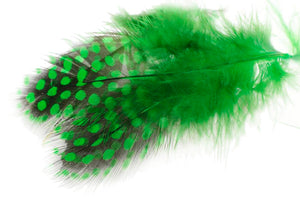Guinea fowl - Green Highlander