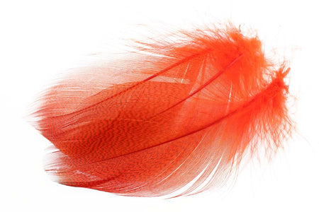 You added <b><u>Mallard Duck Flank Large Selected - Fl. Fire Orange</u></b> to basket.