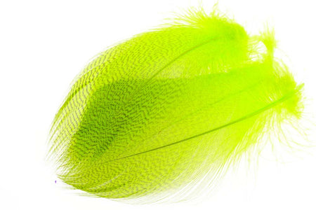 You added <b><u>Gadwall Barred Flank - Fl. Chartreuse</u></b> to basket.
